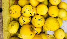 我喜爱的水果——柚子