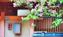 胖叔叔开心茶屋读后感