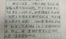 我观察过的一个夜晚作文