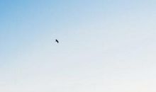 我的青春里有失败