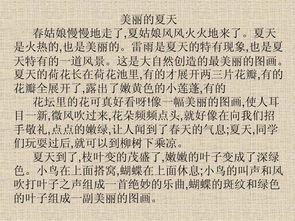我三年的论文