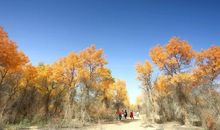 一次令我十分难忘的经历