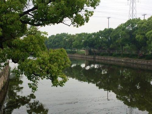 家门前的小河