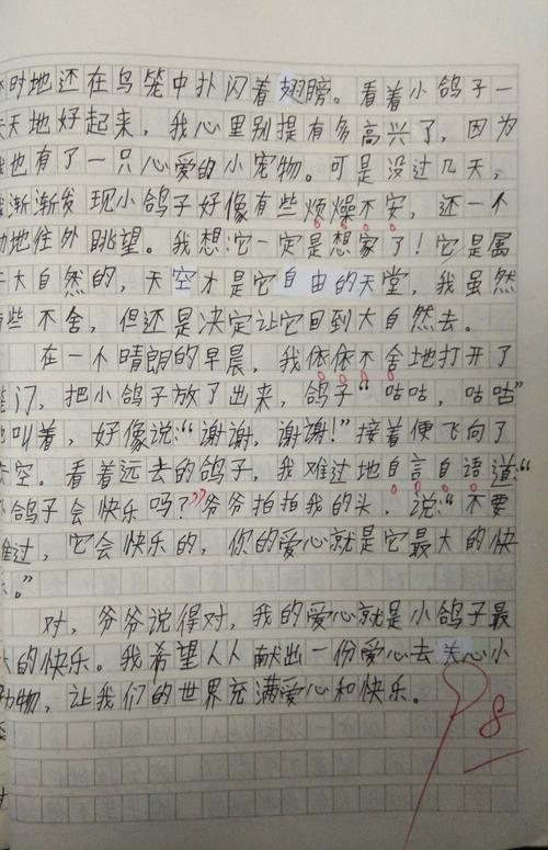 爱情作文400字