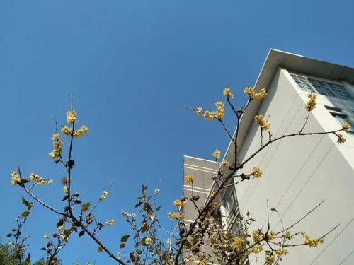 我和冬天约会