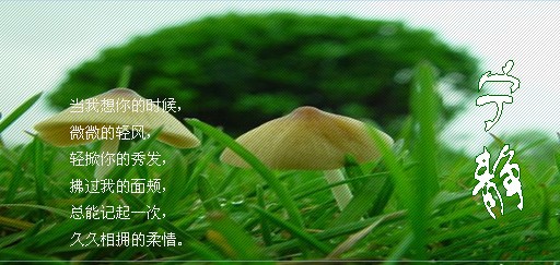 放弃也是一种占有