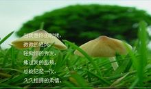 放弃也是一种拥有