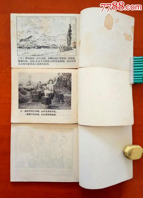难忘的友谊