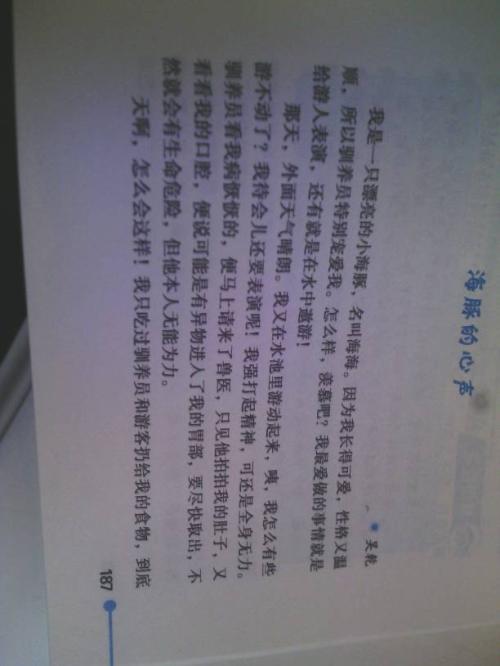 有爱的作文450字