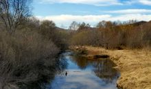 寻找初春的足迹