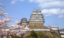 静下心来细品美好