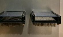 游上海市青少年科技探索馆