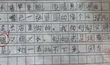 毕业考试后的感想_450字