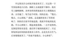 下雪的日子作文600字