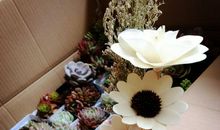 从此我不再孤单