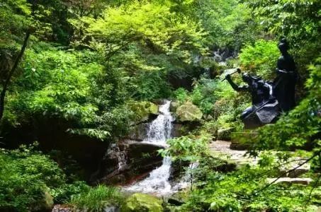 莫干山夏令营