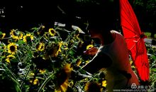 生命因坚持而灿烂