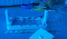 从此我不再惧怕黑夜