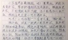 给表妹的一封信