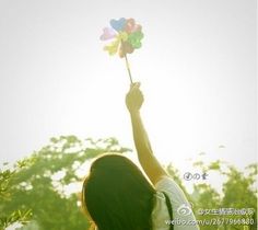 盛开季节