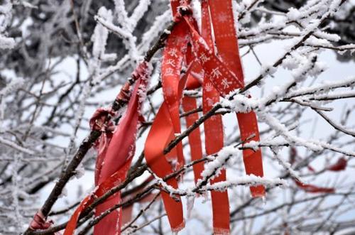 敬畏下雪的季节
