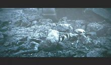 所谓人性，空气也