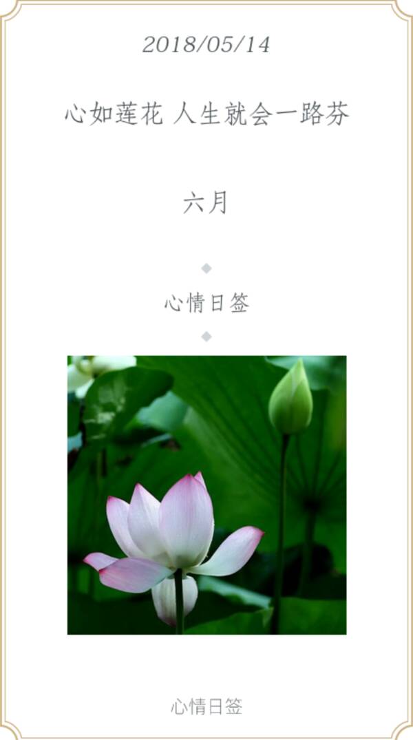 一路成长而香