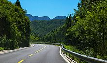 那条不平坦的路