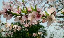 穿梭在花季般的时光