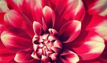 吹出五颜六色的世界