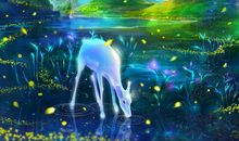 我有一个音乐梦