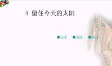 留住今天的太阳