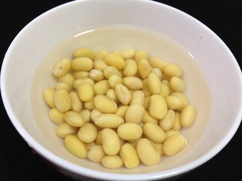 大豆观察日记