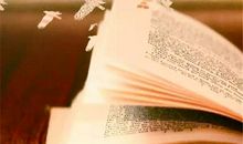 生命最完美的永恒