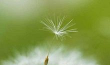 我渴望再次出发