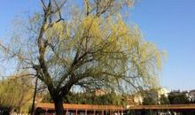 那些静默的时光