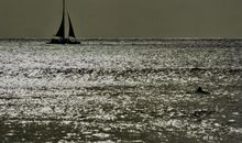 如果时间能停留在这一刻