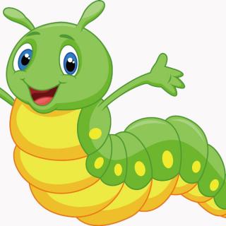 毛毛虫眼中的世界