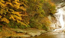 又是一年金秋时