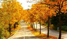 一个秋天的早晨