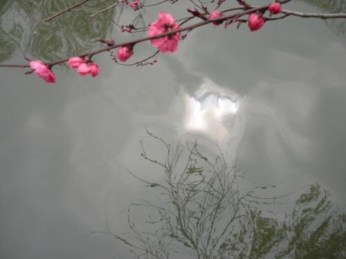现场是什么