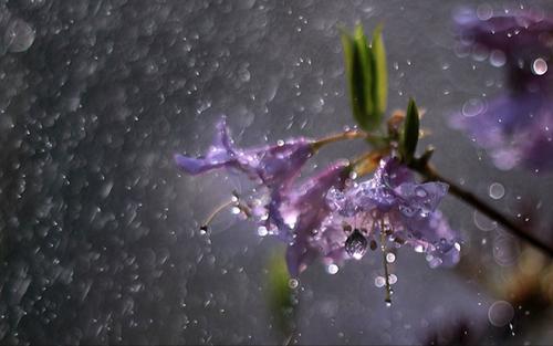 雨景