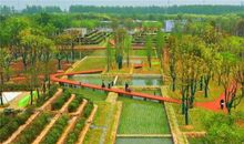 有这样一种美丽