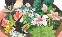 我的妈妈会七十二变