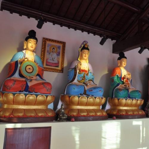 两种观点