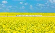 一次难忘的旅程