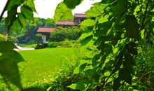 游杭州茶叶博物馆