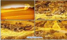 逐梦——画轴上的梦