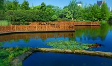 美丽的鄞州公园