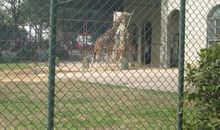 参观南京红山动物园